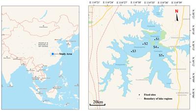 Effects of Water Quality Adjusted by Submerged Macrophytes on the Richness of the Epiphytic Algal Community